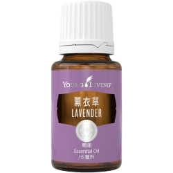 薰衣草精油 Lavander